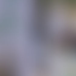 Conmemoran natalicio de don Miguel Hidalgo y Costilla