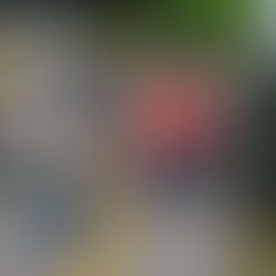 Malandros no lograron su objetivo; interviene la ministerial en extorsión virtual a beliceñas