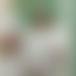 Se registran los primeros diputados para la XVI Legislatura; Iris Adriana y Pedro Enrique tomaron la