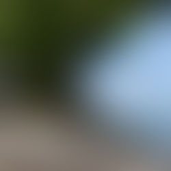 Permanente la lucha contra el Dengue y Arvovirosis 