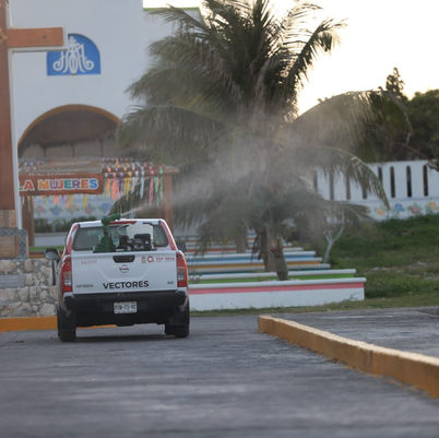 Redobla Ayuntamiento el combate al Dengue 
