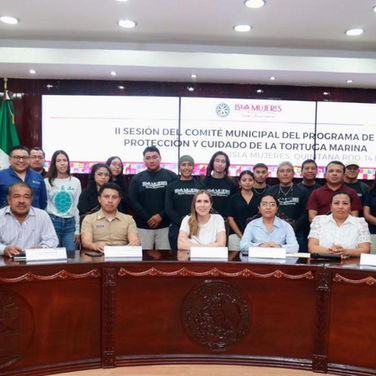 Realizan Sesión del Comité para proteger la Tortuga Marina