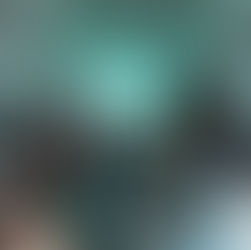 Sensibilizan a la niñez sobre la fauna endémica en Día de la Tierra