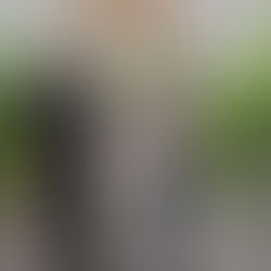 Vergüenza de presidente municipal; condiciona para ingresar a las playas, viola la Constitución y la nueva Reforma de la 4T