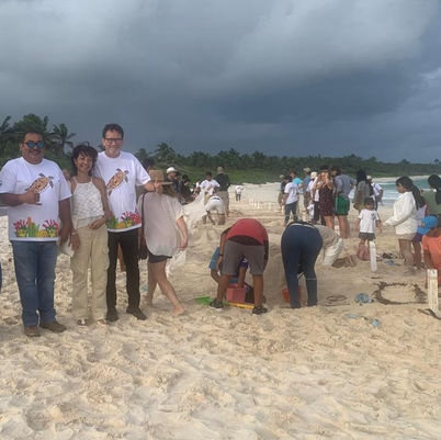 Celebran una Edición del Festival de la Tortuga Marina en el Santuario Xcacel-Xcacelito 