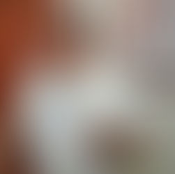 Fernando Zelaya presentó iniciativa para empoderar a ciudadanos en sus municipios