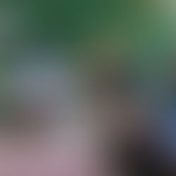 Garantizado en el Municipio el Bienestar Animal con políticas públicas: Blanca Merari