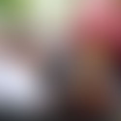 Presente “La Voz del Pueblo" en Bacalar; Atiende Mara a 943 personas