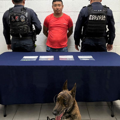 Detecta canino a sujeto que intentó surtir droga en la prisión; traía 11 bolsitas