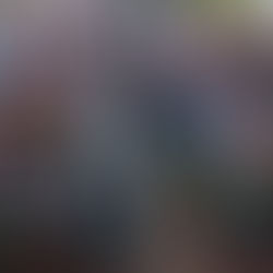 Entrega Gobernadora 300 kits de zapato ortopédico para pie diabético