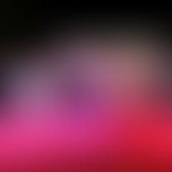 Celebran el municipio décimo festival de música indígena