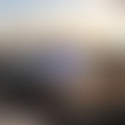 Arranca Blanca Merari jornada de limpieza de sargazo en las playas