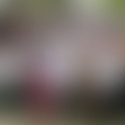 Reconoce IMSS Quintana Roo a su personal por la dedicación y buen servicio