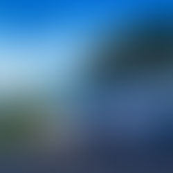 Entrará nueva ruta piloto “4 de Marzo”; anunció Mara Lezama