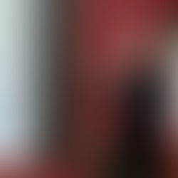 Por fin AMLO tiene datos reales ante tanta violencia en Quintana Roo; Carlos Joaquín cascabelea y di