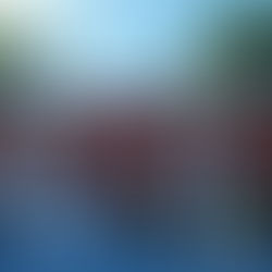 Homenajean a los Niños Héroes en Aniversario 178 de la Batalla de Chapultepec 