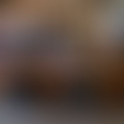 Centroamericanos "encantados" con atractivos de Puerto Morelos