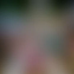 Llegan emprendedores al Mercado Violenta; 56 exhiben sus productos