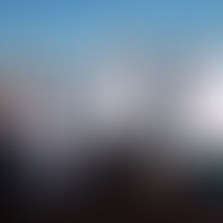 90 embarcaciones salieron a altamar en busca del 1er lugar; Atenea Gómez realizó el disparo de salida