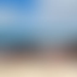 Enfrenta Gobierno Municipal al sargazo; limpia del recale en Playa Norte