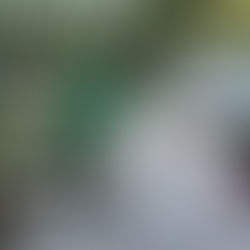 Llega a Las Palmas jornada “Chuleando Tu Colonia”