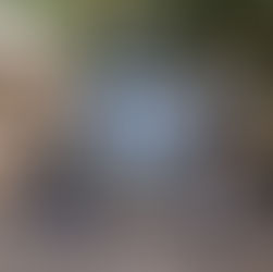 Anuncia Blanca Merari nuevo parque lineal en la Supermanzana 19; más de 9 millones de inversión