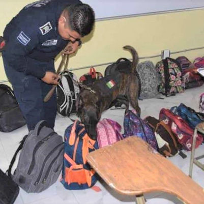 Sin beneficio para quintanarroenses la CEDH; niega operativo mochila