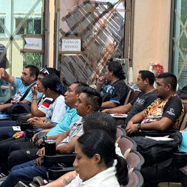 Capacitan a árbitros de la zona Maya en Quintana Roo