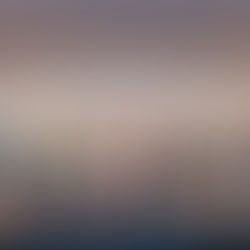 Reciben capacitación guías turísticos para fortalecer la interpretación ambiental