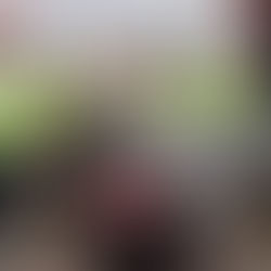 Fin de semana de jornada de descacharrización; protege Gobierno salud de las familias