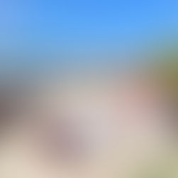 Meditan en Punta Sur para crear conciencia ambiental con jornada "Huellas de Conciencia" 