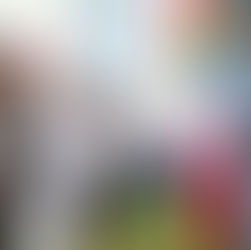 Celebra Gobernadora el 205 Aniversario del Día de la Bandera; convocó a fortalecer la cultura de paz