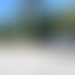 Sufre atentado a balazos ex candidata a diputada y líder sindical de la CROC; hay dos detenidos