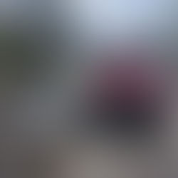 Atacan bomberos incendio forestal en tramo carretero