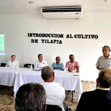 Impulsa el Municipio la acuacultura que genera bienestar y la economía