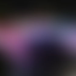 Entra el espíritu Navideño a Cancún; iluminan plaza de la Reforma