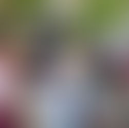 Llega brigada “Acercamiento Ciudadano” a subdelegación Central Vallarta