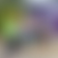 Programas sociales del Municipio han beneficiado a familias lazarocardenses