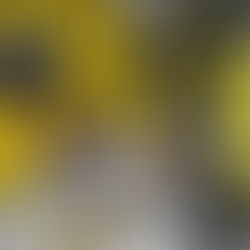 Entra en Quintana Roo "Ley Silla"; inicia operativo de vigilancia STyPS