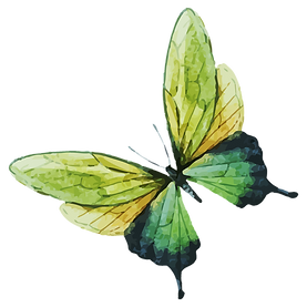 Watercolor Butterfly 7