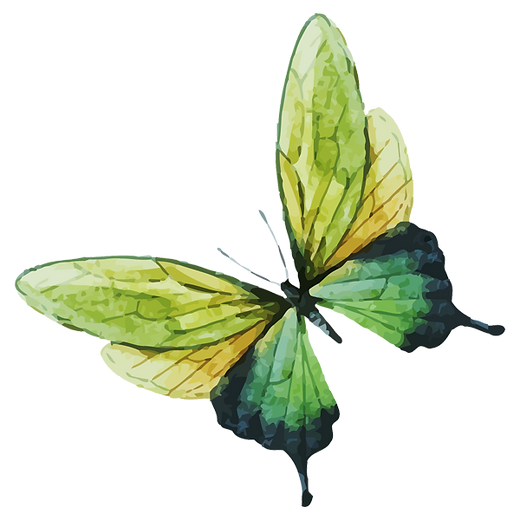 Watercolor Butterfly 7