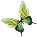 Watercolor Butterfly 7
