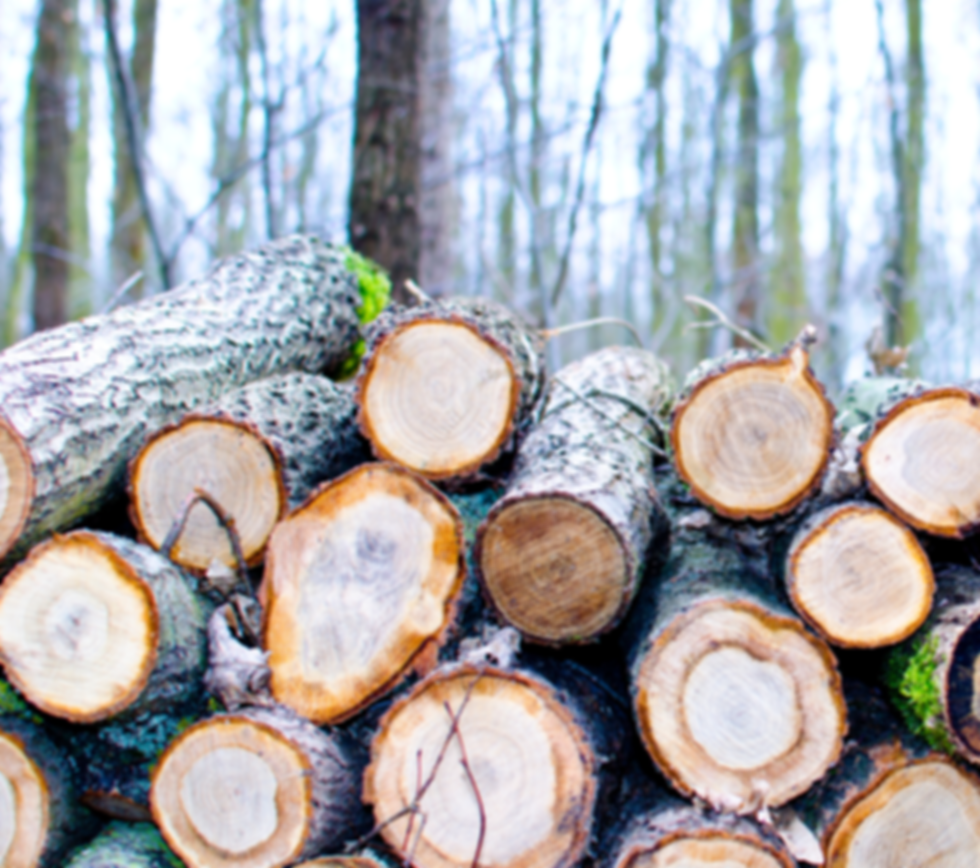 Holz.png