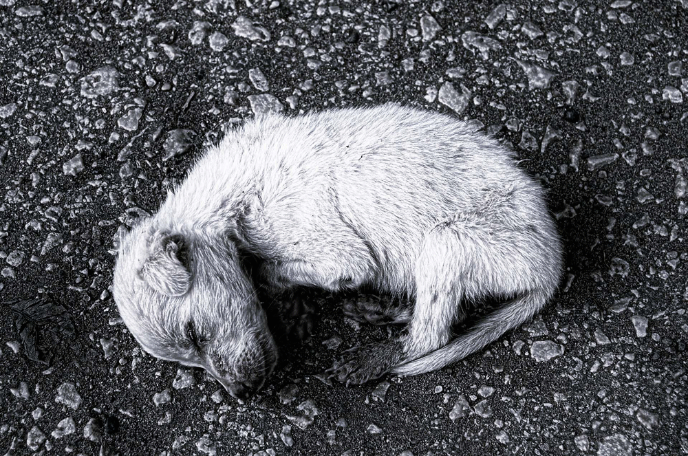ABANDONADO