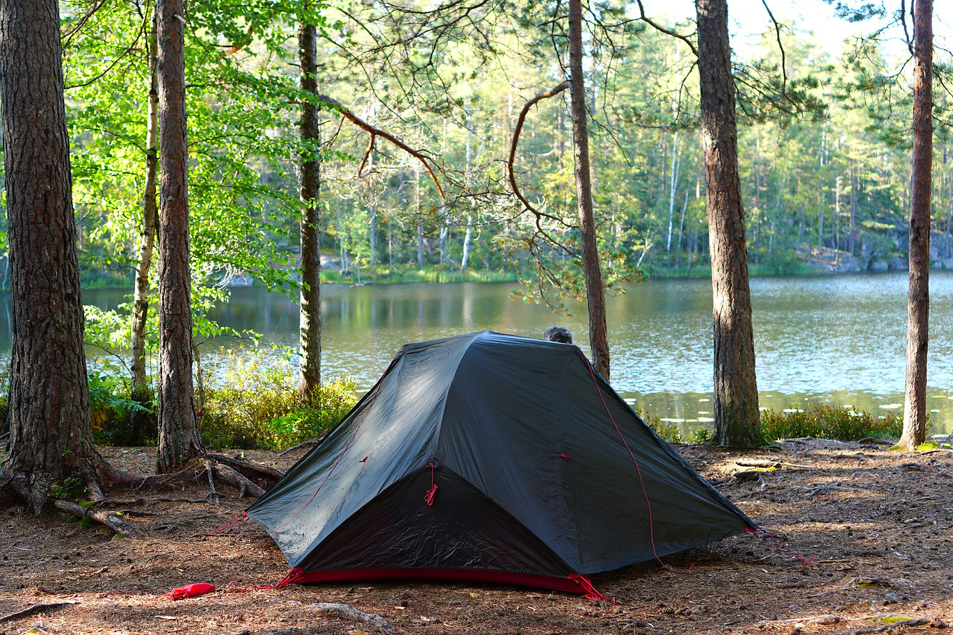 Tent in a national park
