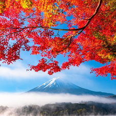 VOYAGE D’AUTOMNE AU JAPON