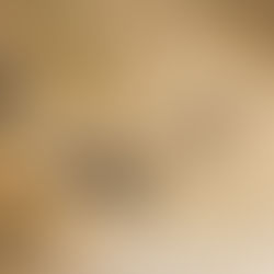 Safari au Kenya : 10 éléments à retenir