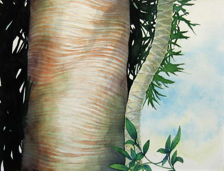 Belle Isle Arboretum Tranquility