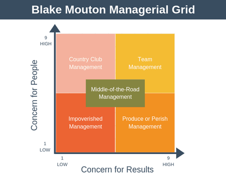💥 Führung ist kein Ponyhof – oder doch? Das Managerial Grid im Reality-Check! 🧐