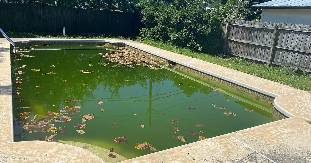 Troubleshooting Common Pool Problems: How to Address Algae, Stains, and ...